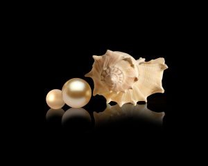 snail, pearl, light